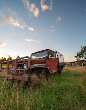Red Rover 1 Portrait New Zealand 16 Mb fine art photograph by Chandler Williams