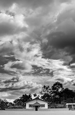 Upward Mobility - Costa Rica fine art photograph by Chandler Williams