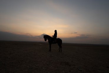 Tsavo Rider Africa elephant fine art photography print by Chandler Williams for Modus Photography