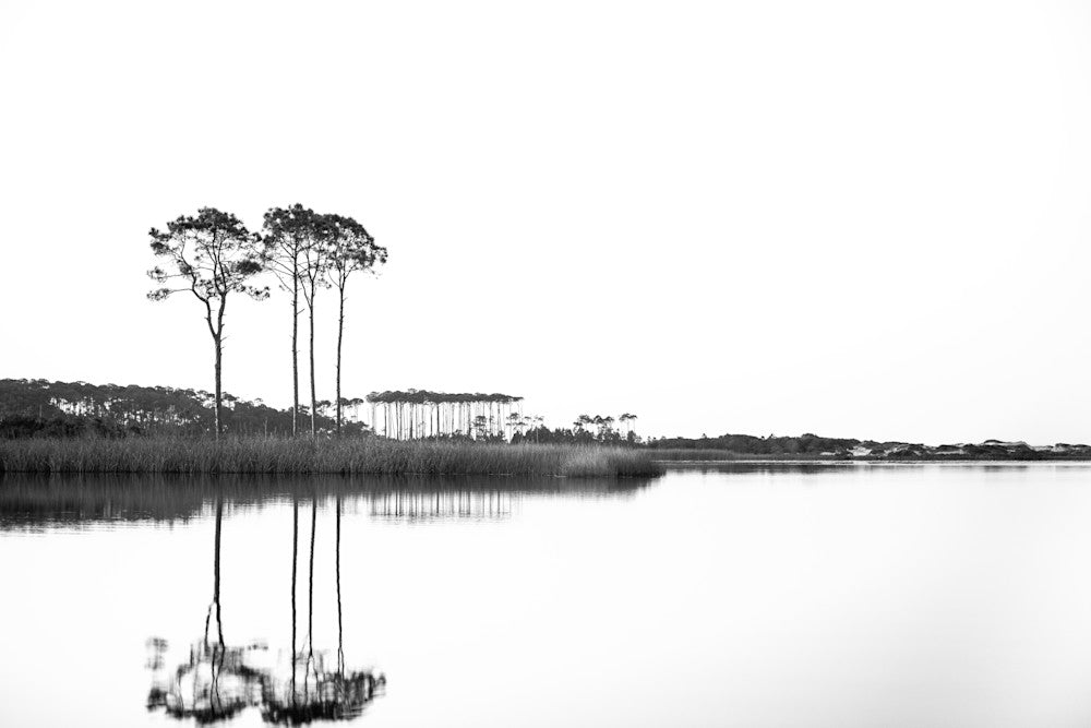 Western Lake White on White landscape black and white fine art photography print from 30A by Chandler Williams for Modus Photography
