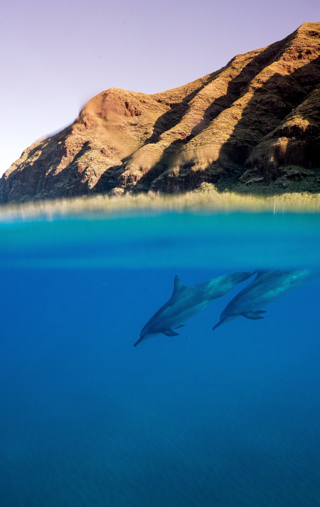 Hawaii fine art photography featuring ocean, aerial views, marine life, and island landscapes