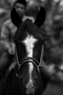 Caballo - Nicaragua fine art photograph by Chandler Williams