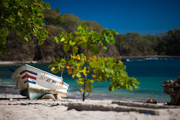 Colors of Costa Rica fine art photograph by Chandler Williams