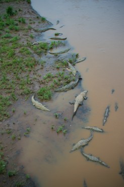 Danger Zone - Costa Rica fine art photograph by Chandler Williams