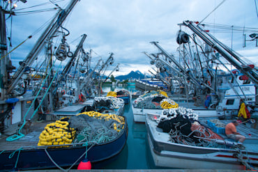 Fishing Boats - Alaska fine art photograph by Chandler Williams