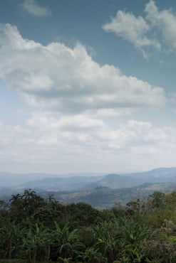 Hillside - Nicaragua fine art photograph by Chandler Williams