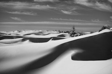 Oregon Dunes Late Summer - Black and White fine art photograph by Chandler Williams