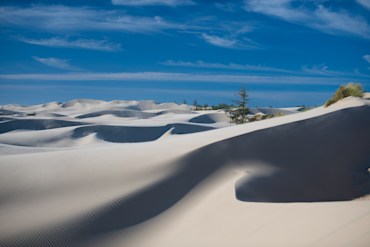 Oregon Dunes Late Summer fine art photograph by Chandler Williams