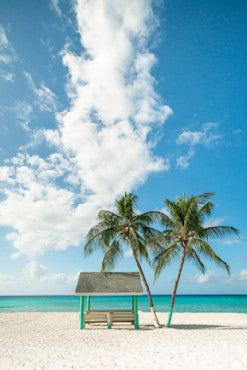 Paradise - Portrait - Caymans fine art photograph by Chandler Williams