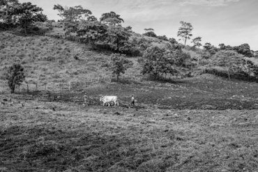 Plow Field - Nicaragua fine art photograph by Chandler Williams