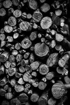 Stacked - Costa Rica fine art photograph by Chandler Williams