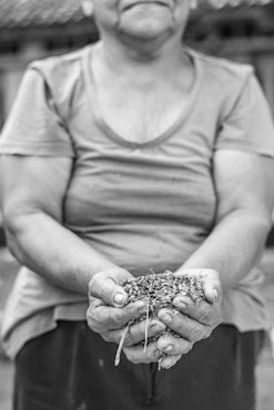 Yield 1 - Nicaragua fine art photograph by Chandler Williams