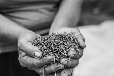 Yield 2 - Nicaragua fine art photograph by Chandler Williams