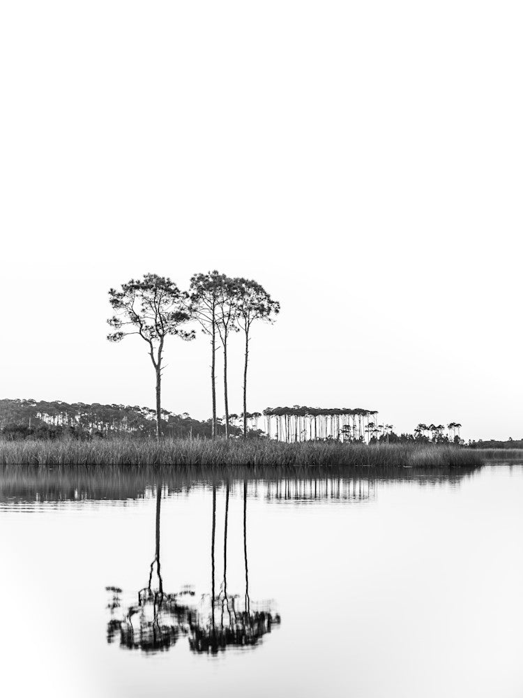 Western Lake White on White portrait black and white fine art photography print from 30A by Chandler Williams for Modus Photography