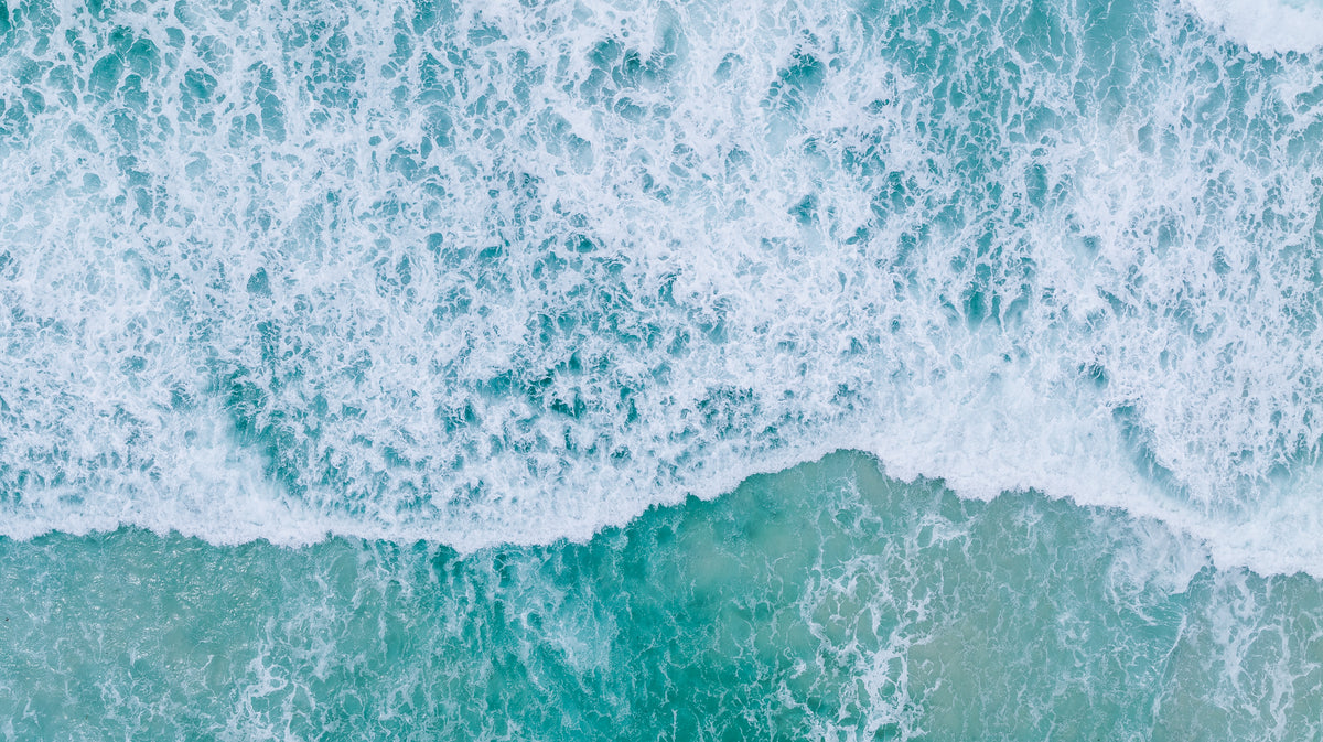 Foamy wave and shoreline fine art photography print by Chandler Williams for Modus Photography