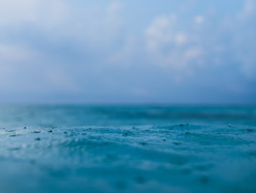Stormy Morning 2 fine art photograph by Chandler Williams