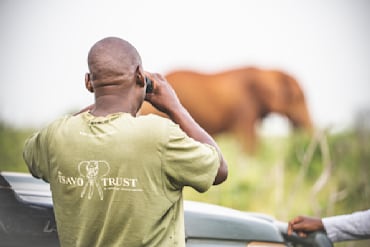 The Watcher Tsavo Africa tusker fine art photography print by Chandler Williams for Modus Photography