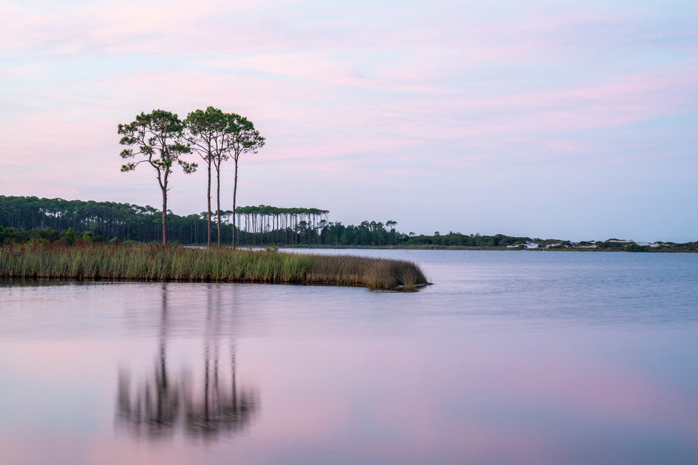 Western Lake Summer Sunrise fine art photography print from Scenic Highway 30A by Chandler Williams for Modus Photography